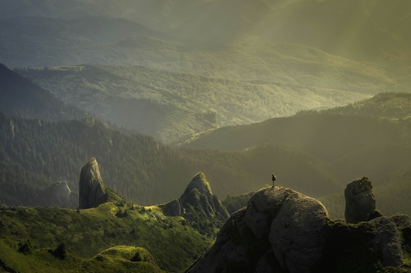 Image for Open Elevation API