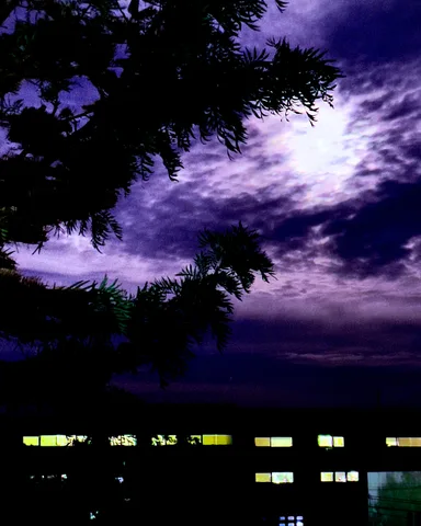 nature, night, silhouette, solitude, texture