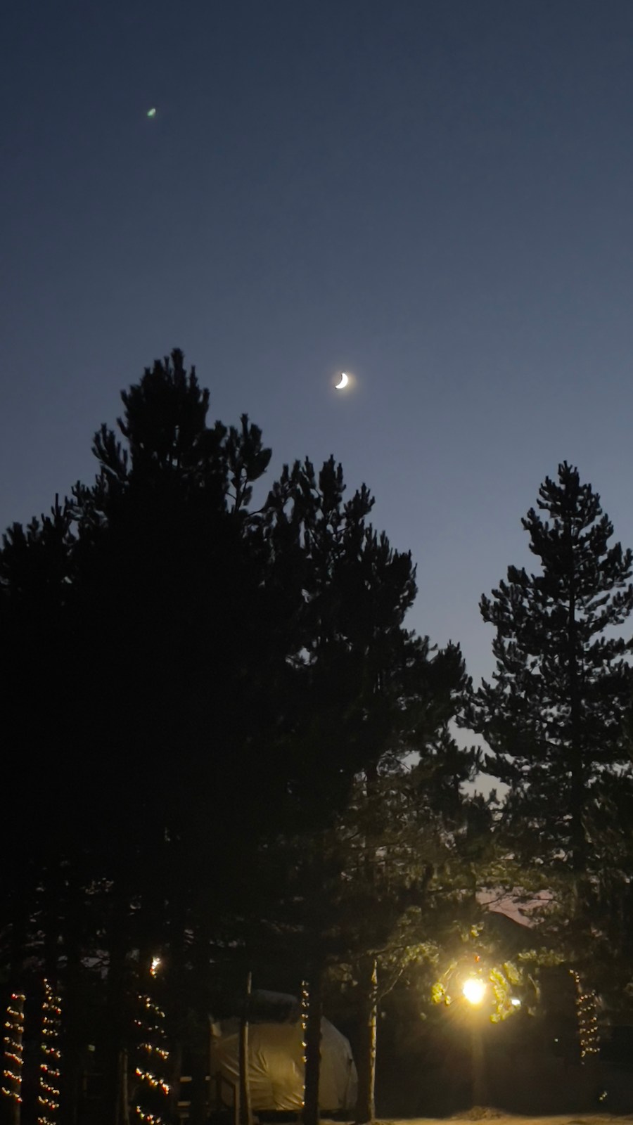 calm, forest, landscape, muted colours, nature, night, silhouette, solitude, warm light