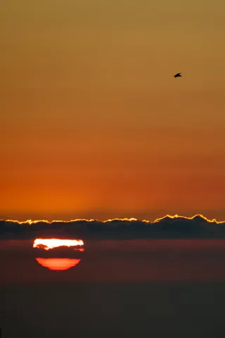 birds, calm, clouds, minimalism, nature, silhouette, solitude, sun, warm light
