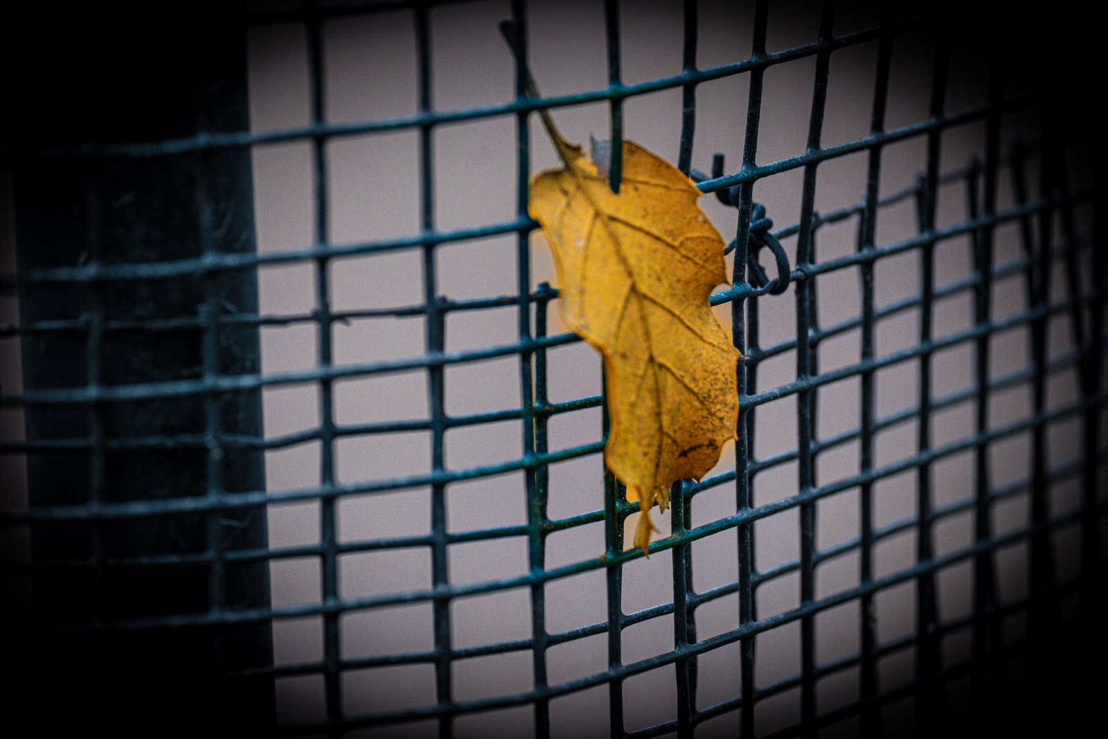 calm, muted colours, nature, solitude, symmetry, texture