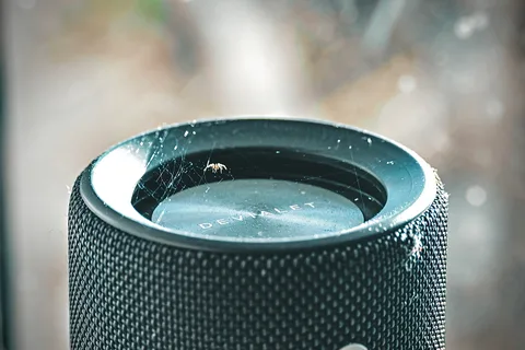 animals, calm, muted colours, speaker, spider, symmetry, texture
