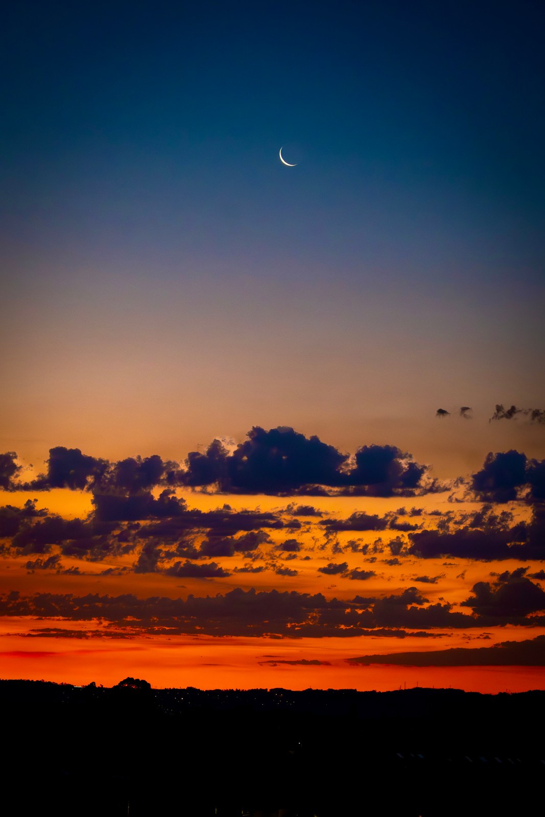 calm, landscape, silhouette, solitude, warm light
