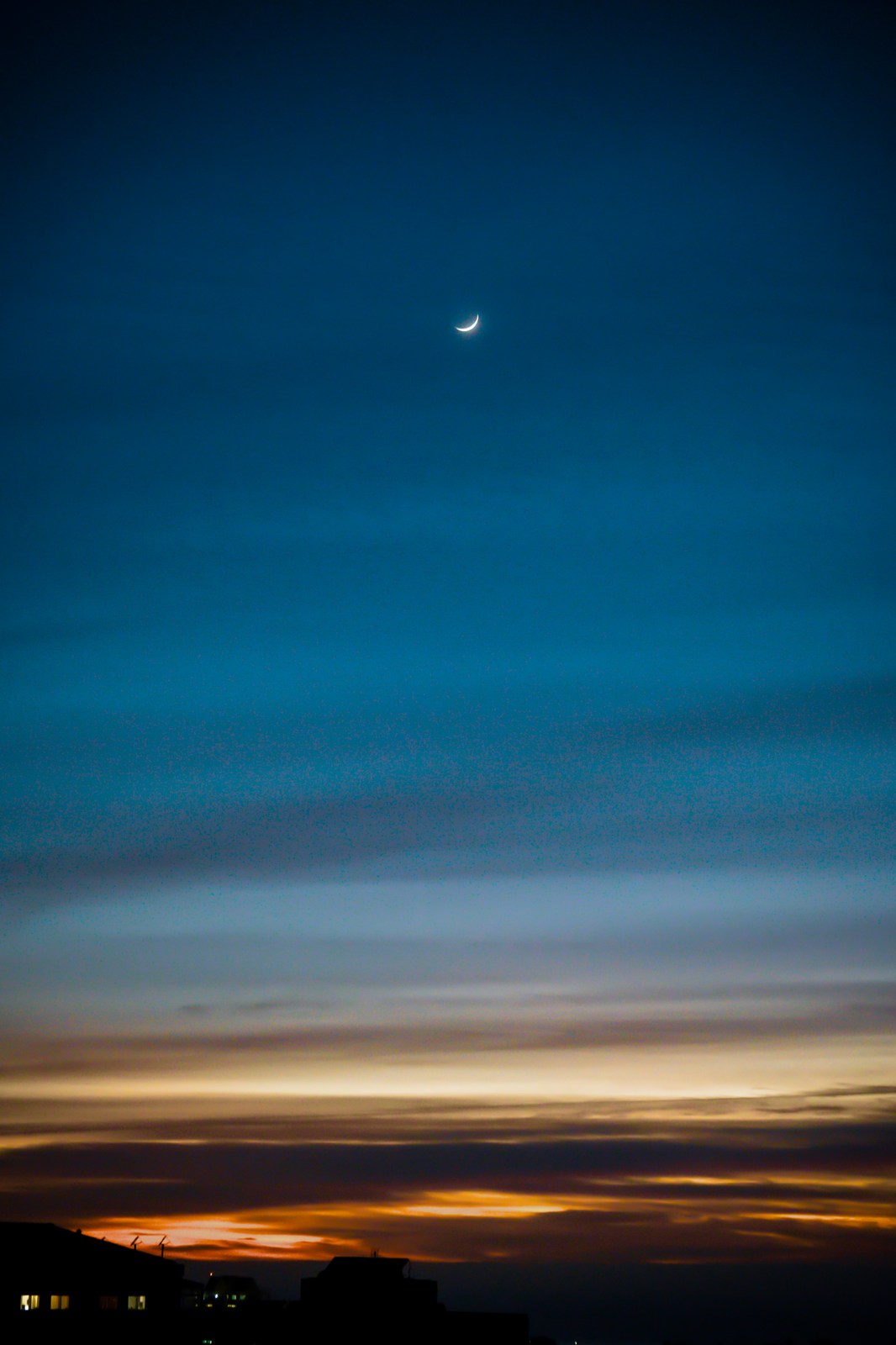 calm, city, minimalism, muted colours, nature, silhouette, solitude, warm light