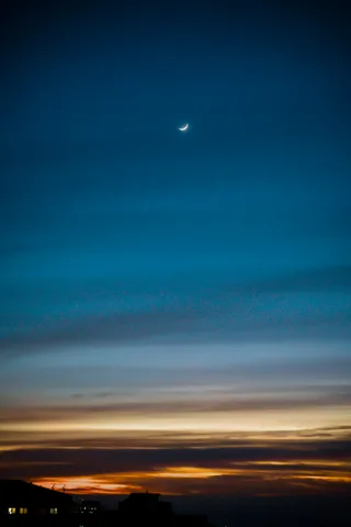 calm, city, minimalism, muted colours, nature, silhouette, solitude, warm light