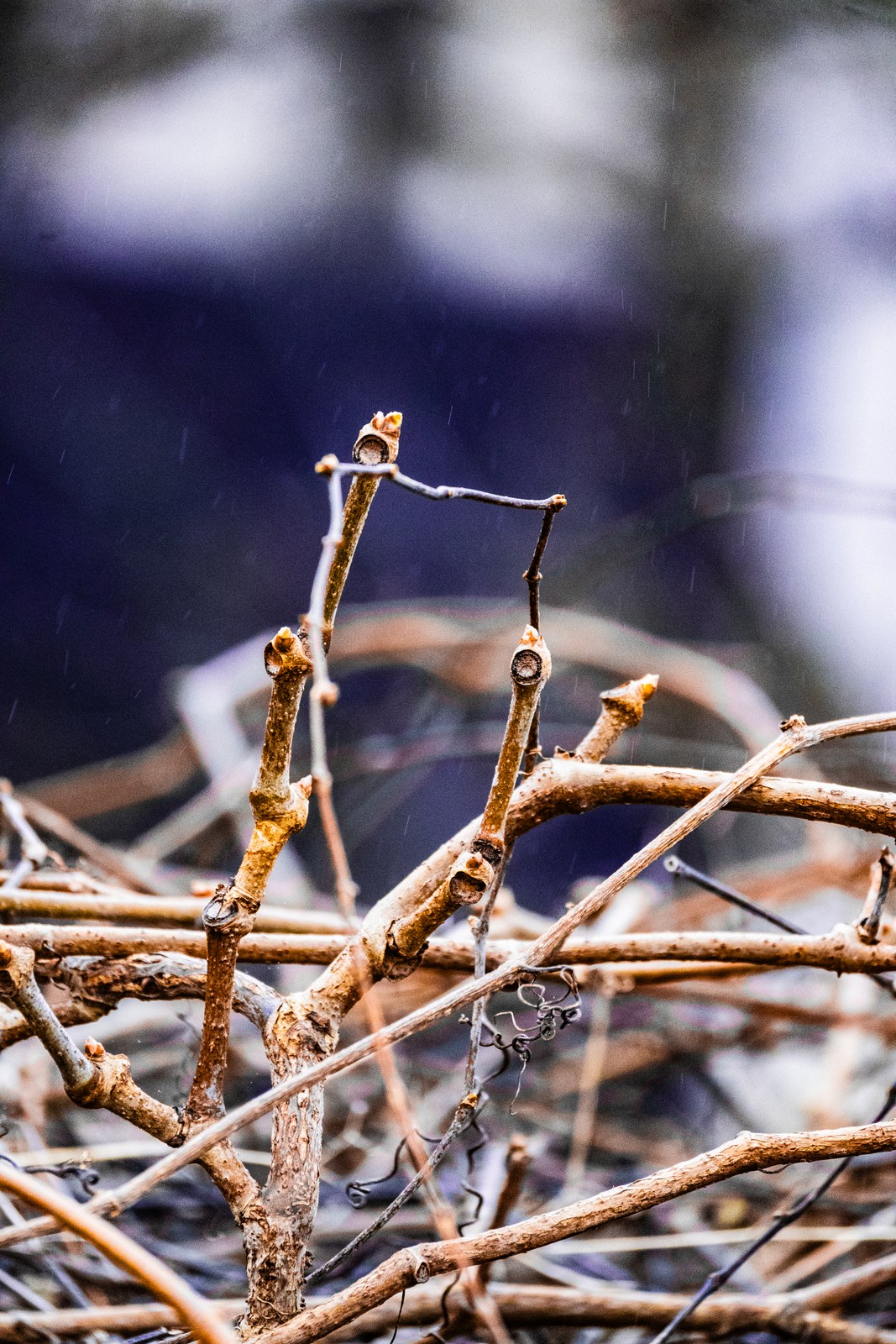 calm, muted colours, nature, texture
