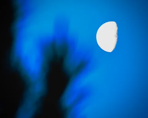 calm, minimalism, moon, nature, night, silhouette, sky, solitude, texture