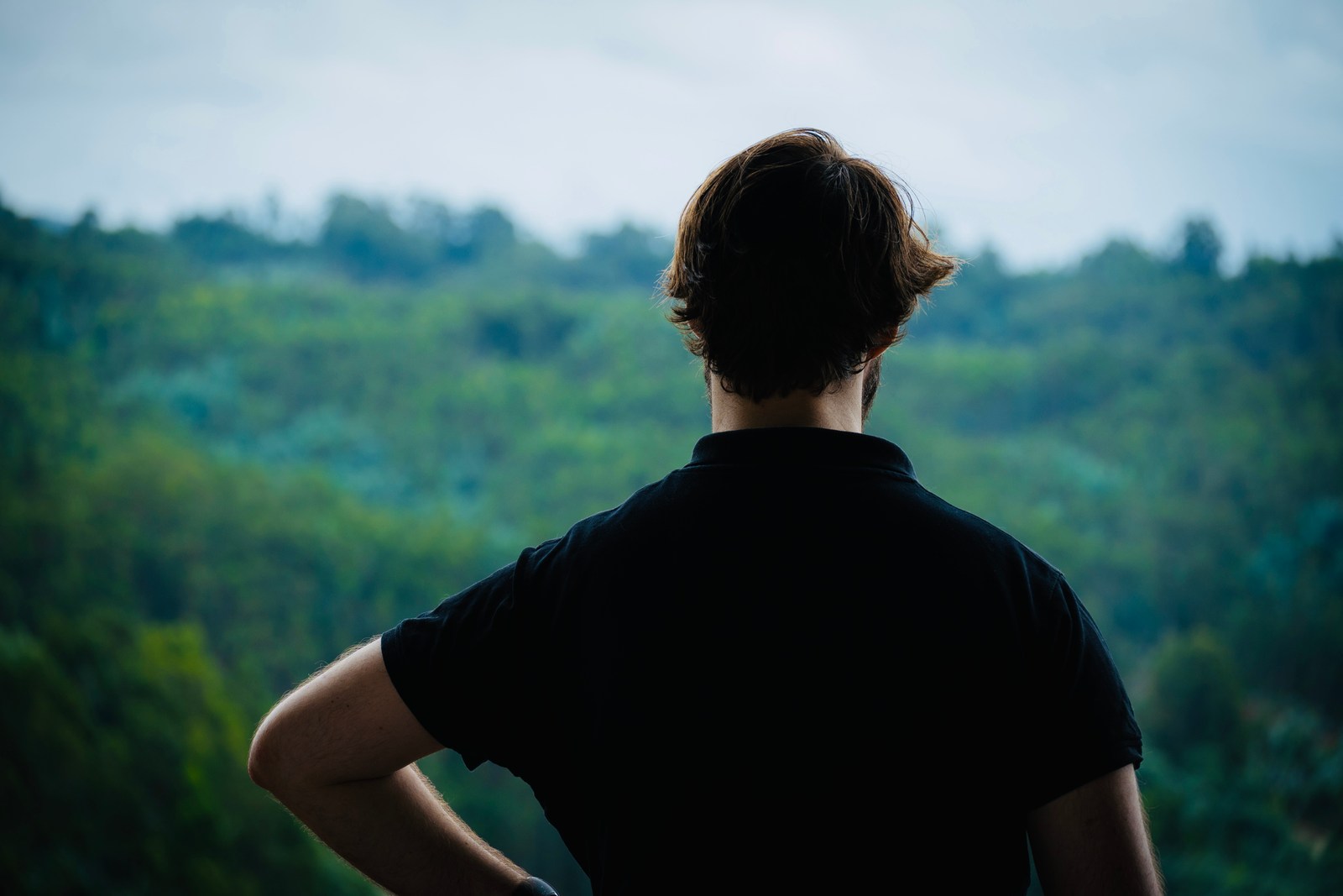calm, forest, muted colours, nature, person, solitude, texture