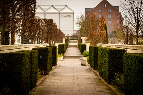 architecture, calm, city, muted colours, nature, symmetry, texture, warm light
