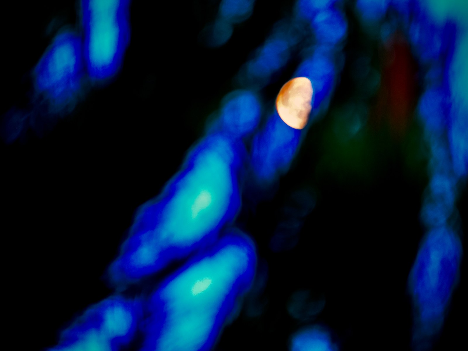 calm, motion, muted colours, nature, night, solitude, texture, warm light