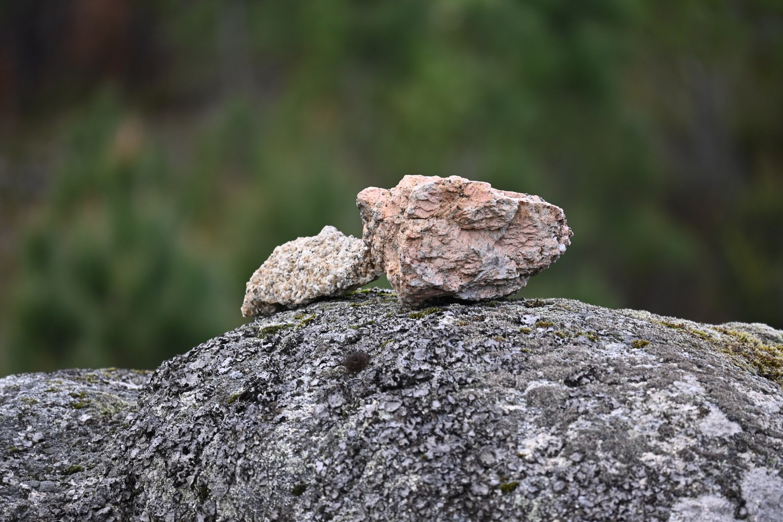 calm, forest, muted colours, nature, rocks, solitude, texture