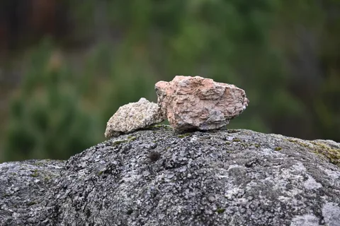 calm, forest, muted colours, nature, rocks, solitude, texture